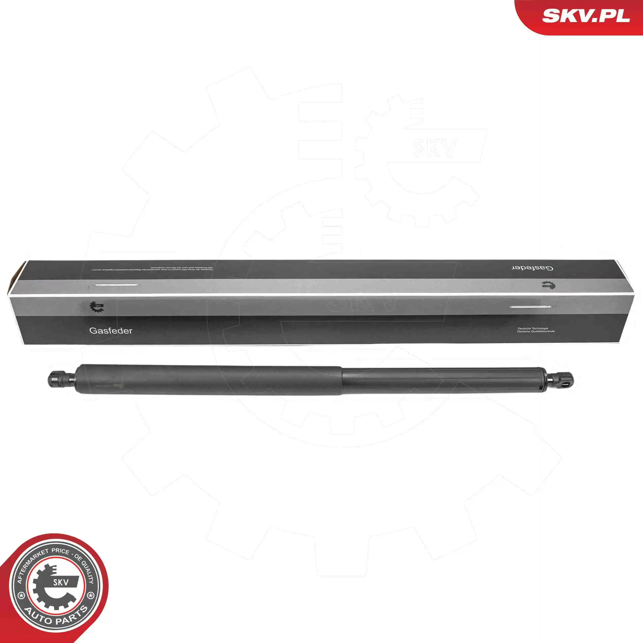 Gas Spring, boot/cargo area